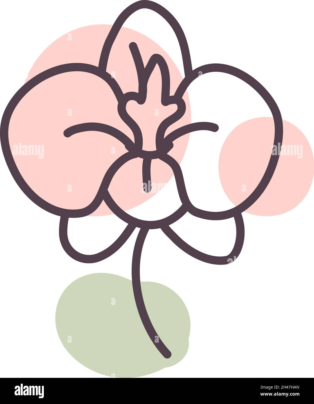 Gartenblume, Illustration, Vektor, auf weißem Hintergrund. Stock Vektor