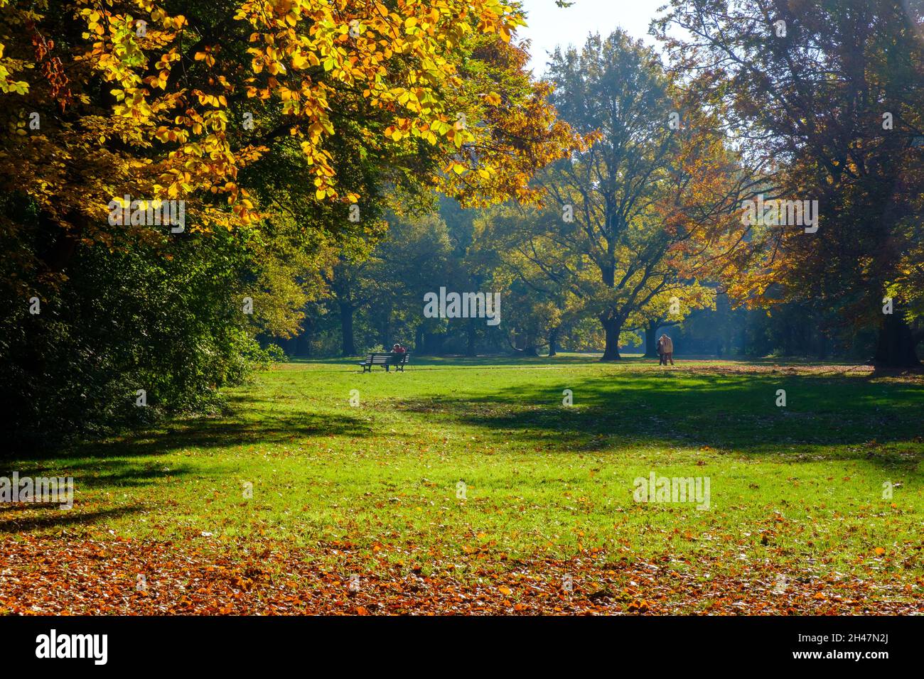 Berlin Tiergarten im Herbst Stockfoto
