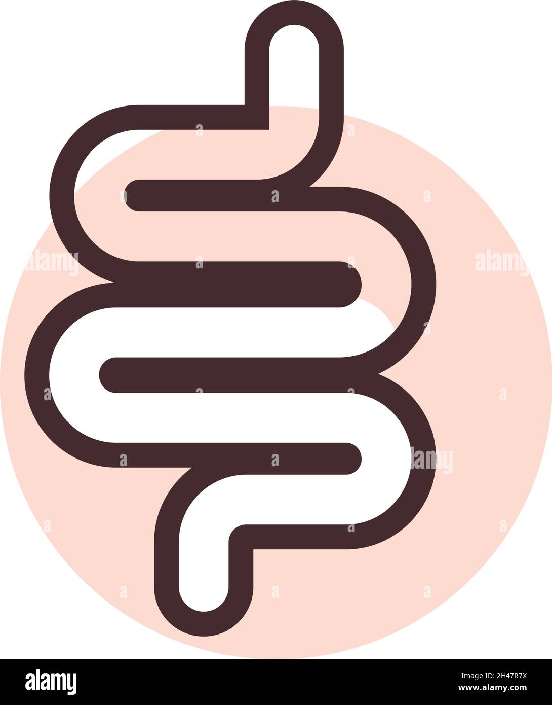 Menschlicher Darm, Illustration, Vektor, auf weißem Hintergrund. Stock Vektor