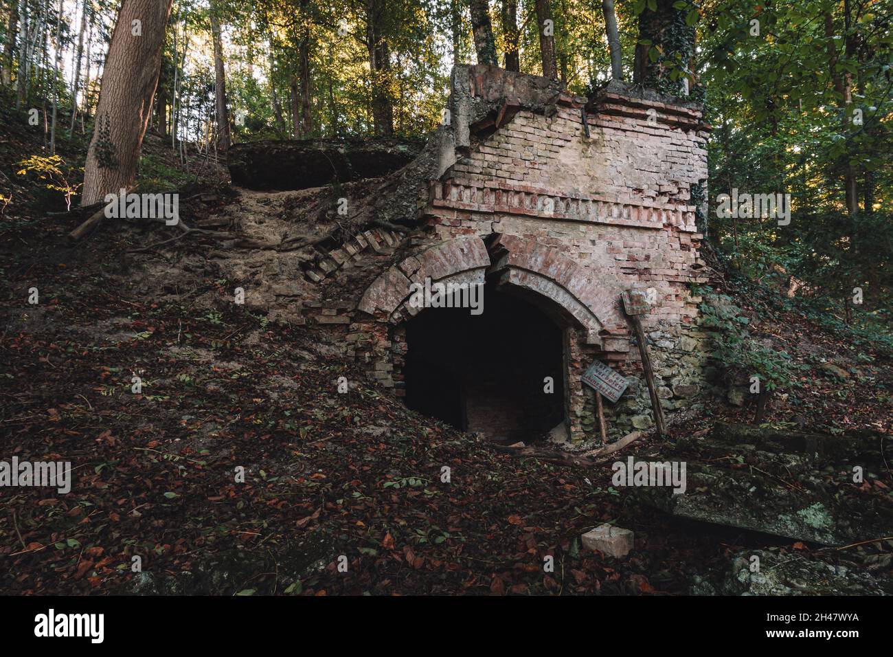 Ein alter verlassene Sandsteinkeller, eine versteckte Höhle im Wald, die in der Vergangenheit zur Lagerung genutzt wurde Stockfoto