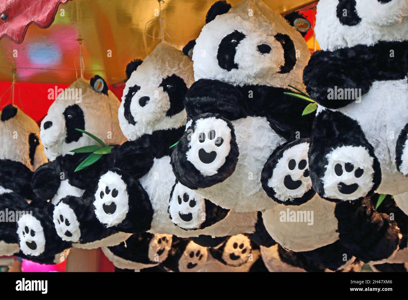 Softspielzeug Pandas, Preise auf dem Messegelände an der York Balloon Fiesta 2021 Stockfoto