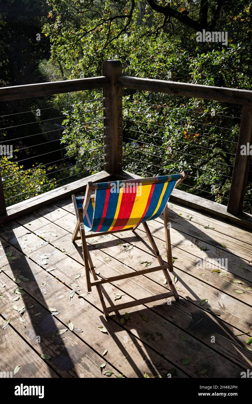 staycation, Baumhaus, Baumkronen, Baumkronen, Stockfoto