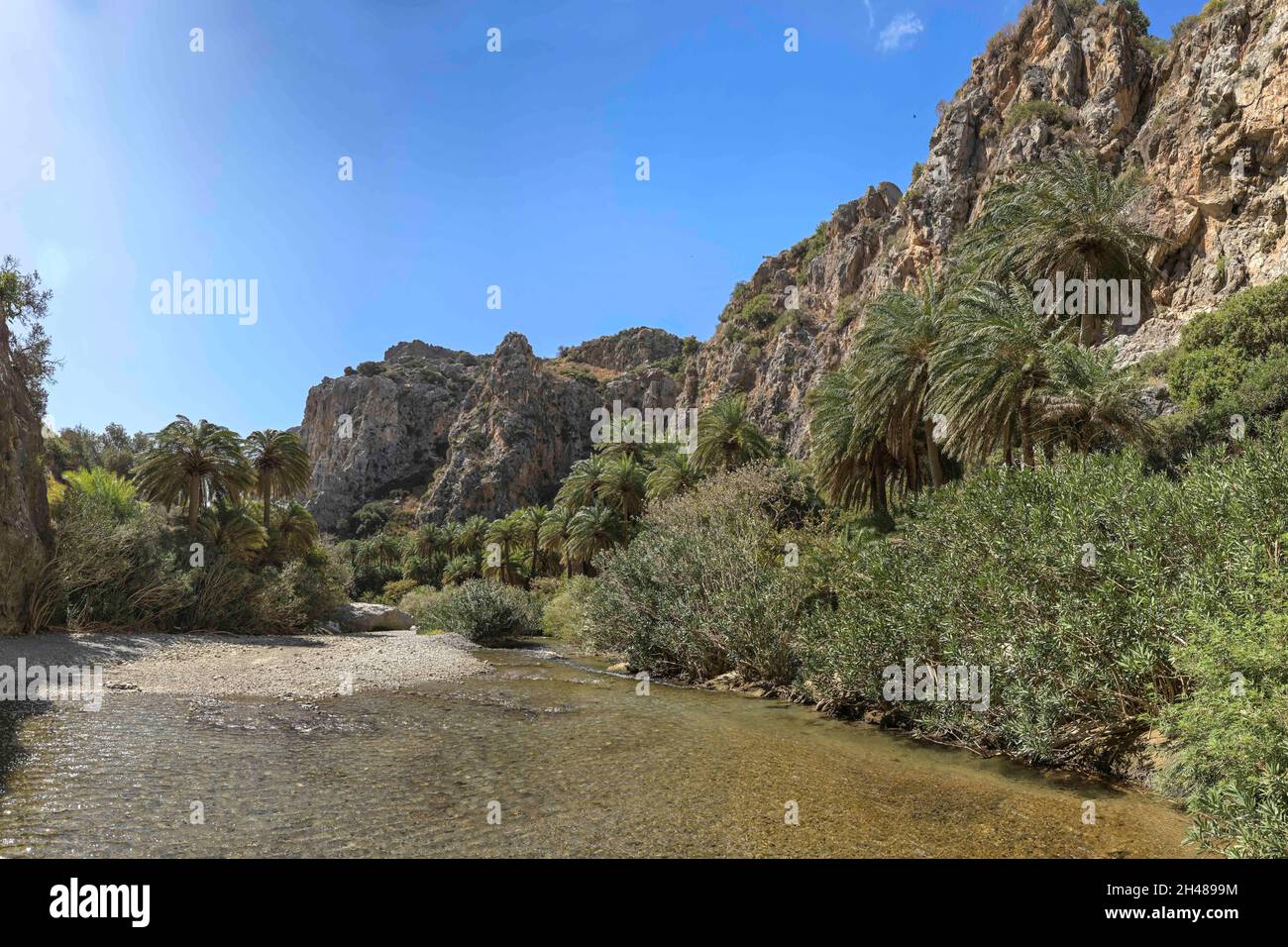 Bach, Palmen, Preveli, Kreta, Griechenland Stockfoto