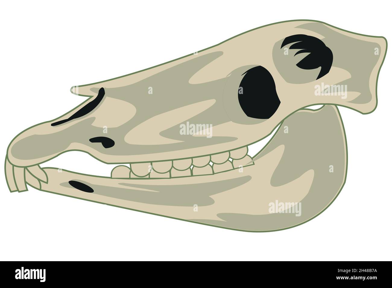 Vektor-Illustration des Schädels Haustiere Pferdetyp von der Seite Stock Vektor
