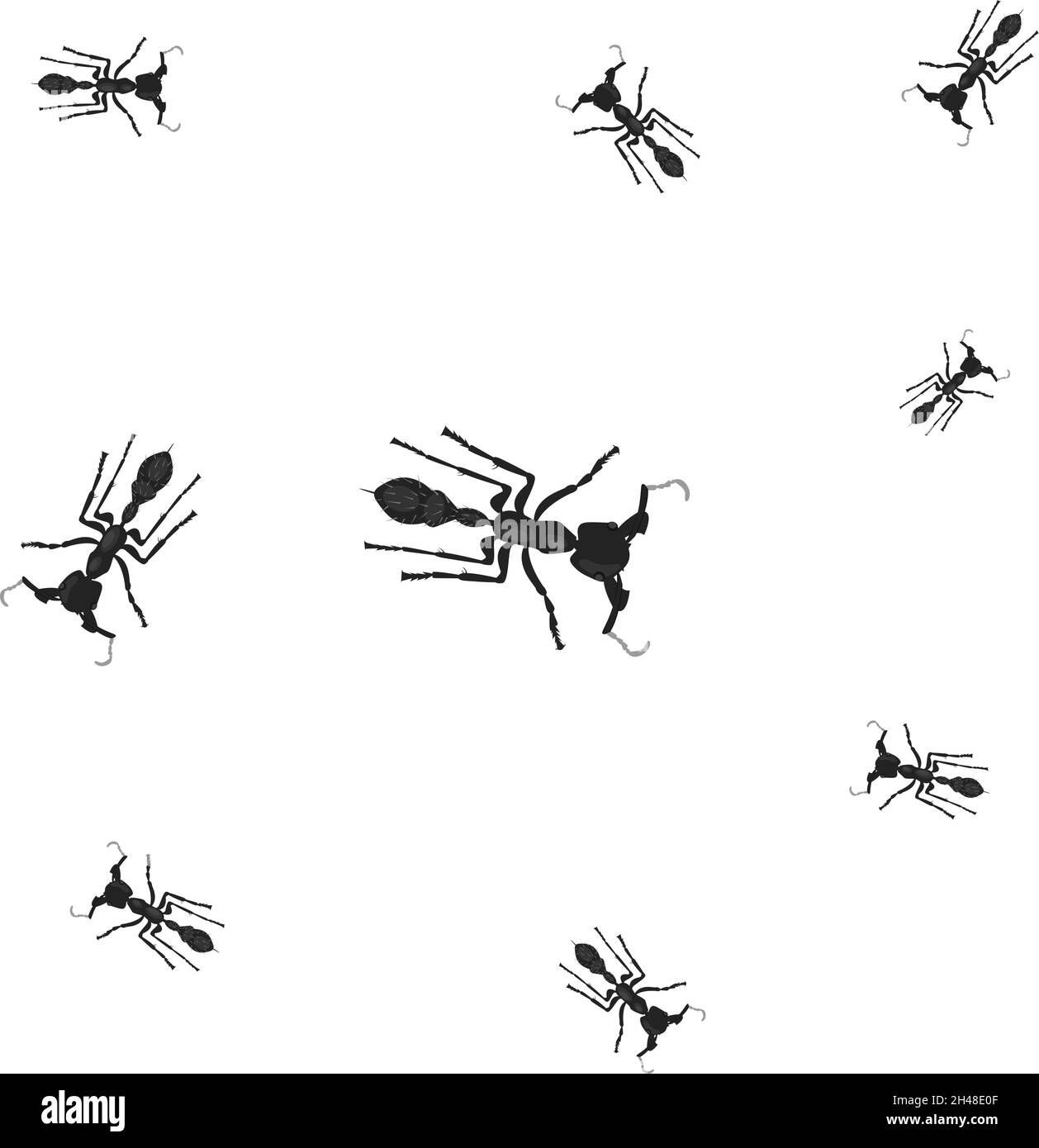 Kugelameisen, Illustration, Vektor auf weißem Hintergrund. Stock Vektor