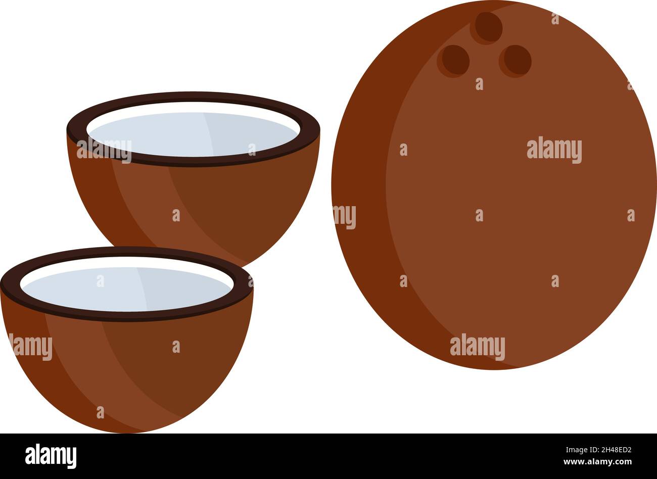 Kokosmilch, Illustration, Vektor auf weißem Hintergrund. Stock Vektor