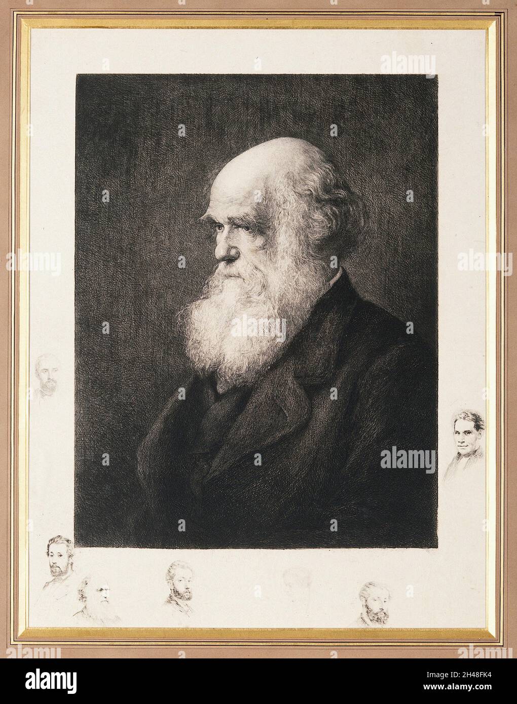 Charles Robert Darwin. Radierung von P.A. Rajon, ca. 1877, nach W.W. Ouless, 1875. Stockfoto