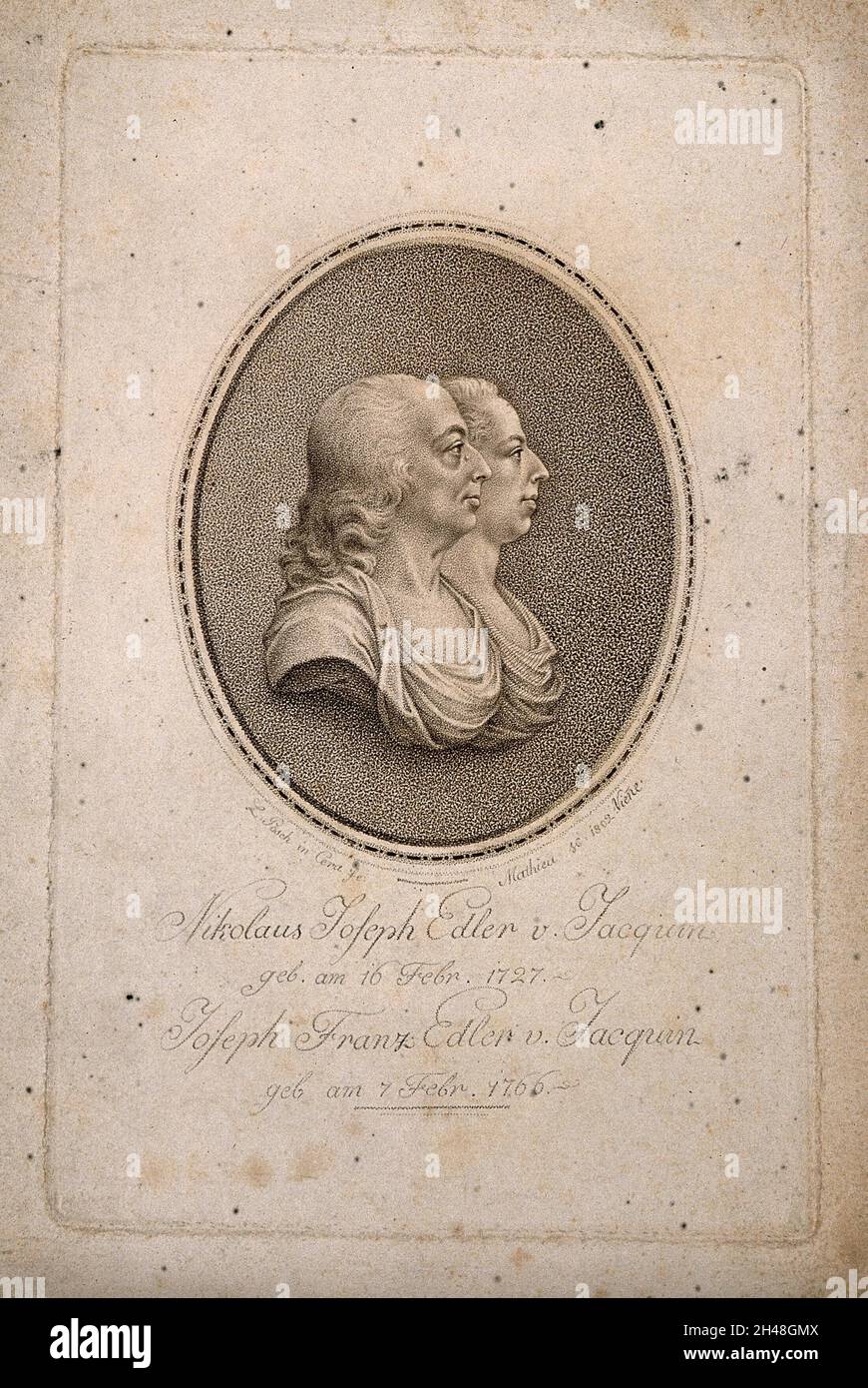 Nikolaus joseph jacquin Fotos und Bildmaterial in hoher Auflösung Alamy