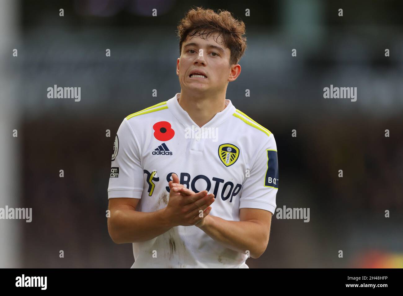 Daniel James von Leeds United - Norwich City / Leeds United, Premier League, Carrow Road, Norwich, Großbritannien - 31. Oktober 2021 nur zur redaktionellen Verwendung - es gelten DataCo-Einschränkungen Stockfoto