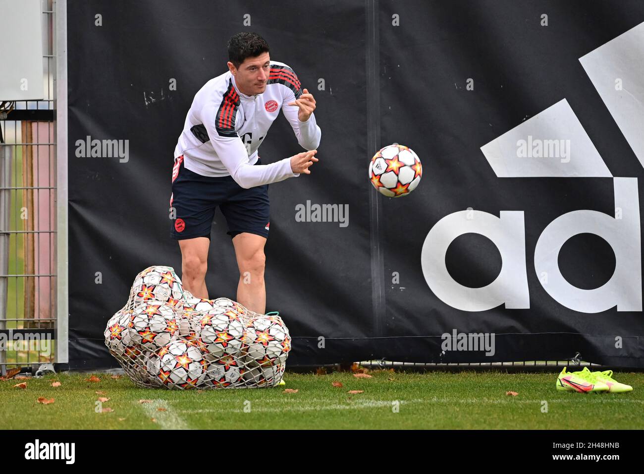 München, Deutschland. November 2021. Robert LEWANDOWSKI (FC Bayern München), Fußball Champions League/FC Bayern München - SL Benfica Lisbon München, Abschlusstraining am 01.11.2021 Credit: dpa/Alamy Live News Stockfoto