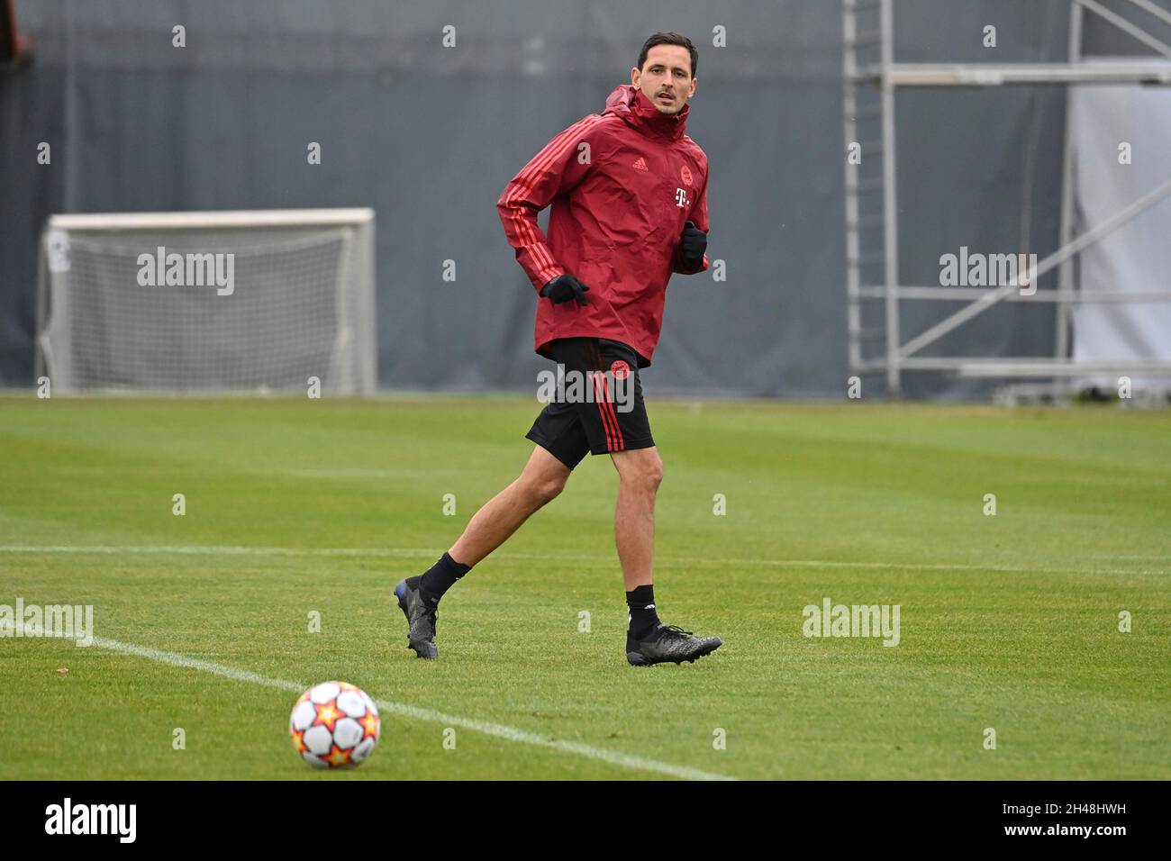 München, Deutschland. November 2021. Dino TOPPMOELLER (Co-Trainer FCB). Fußball Champions League/FC Bayern München - SL Benfica Lisbon München, Abschlusstraining am 01.11.2021 Credit: dpa/Alamy Live News Stockfoto