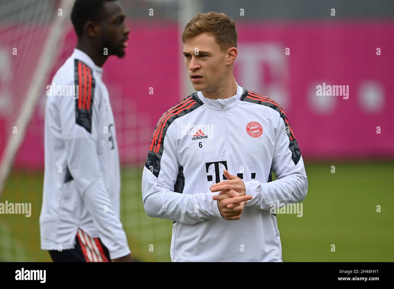 München, Deutschland. November 2021. Joshua KIMMICH (FC Bayern München), Aktion, Einzelbild, Einzelmotiv beschnitten, Halbfigur, Halbfigur. Fußball Champions League/FC Bayern München - SL Benfica Lisbon München, Abschlusstraining am 01.11.2021 Credit: dpa/Alamy Live News Stockfoto
