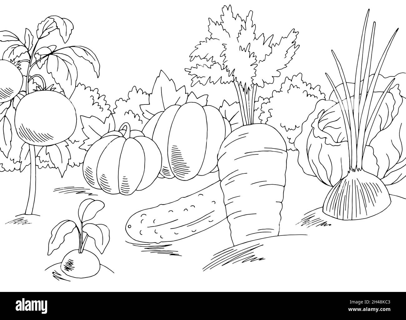 Markt Garten Grafik schwarz weiß Landschaft Skizze Illustration Vektor Stock Vektor