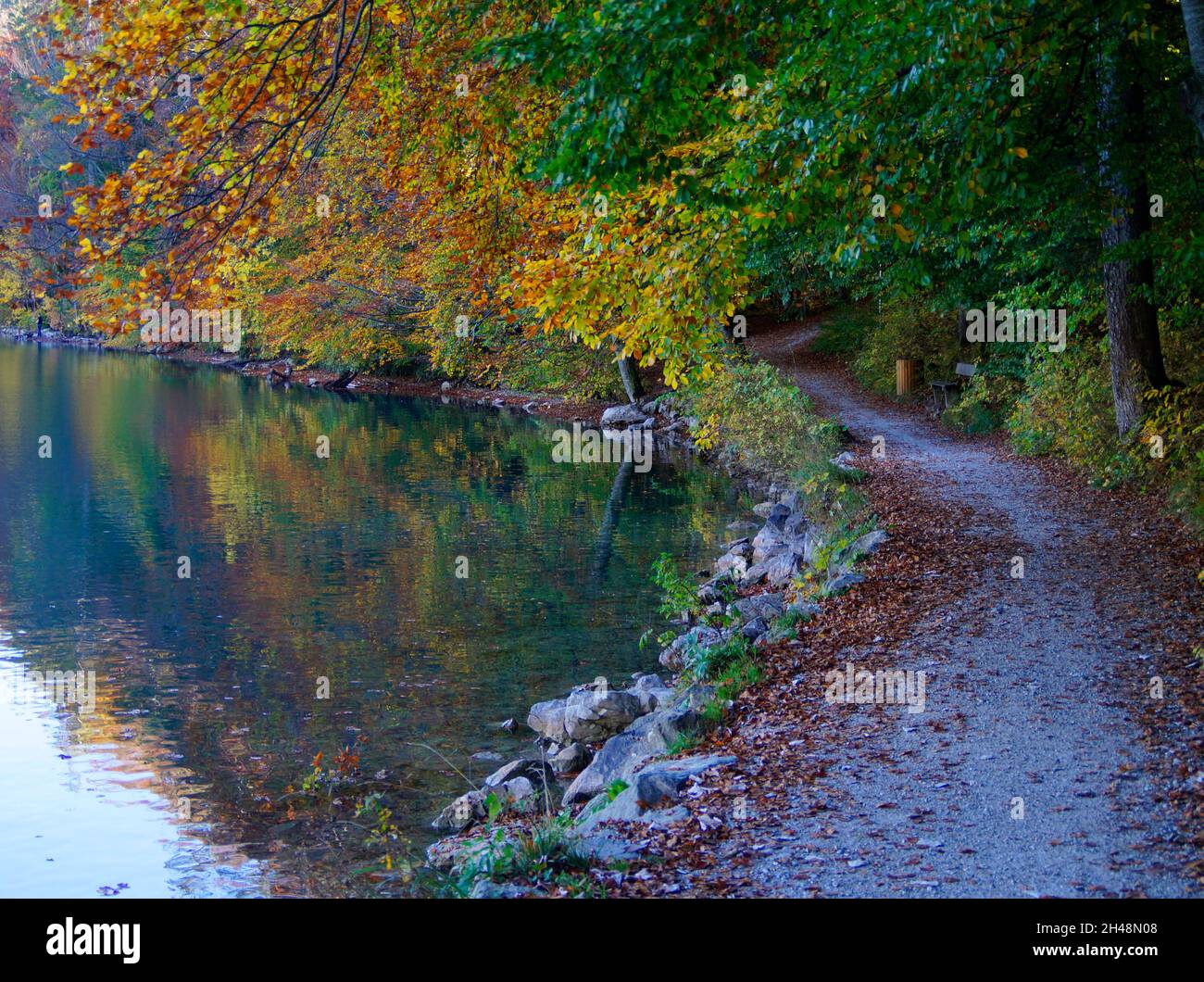 Eine wunderschöne herbstliche Gasse am Ober See in der Nähe des Alatsees (Füssen, Bayern, Deutschland Stockfoto