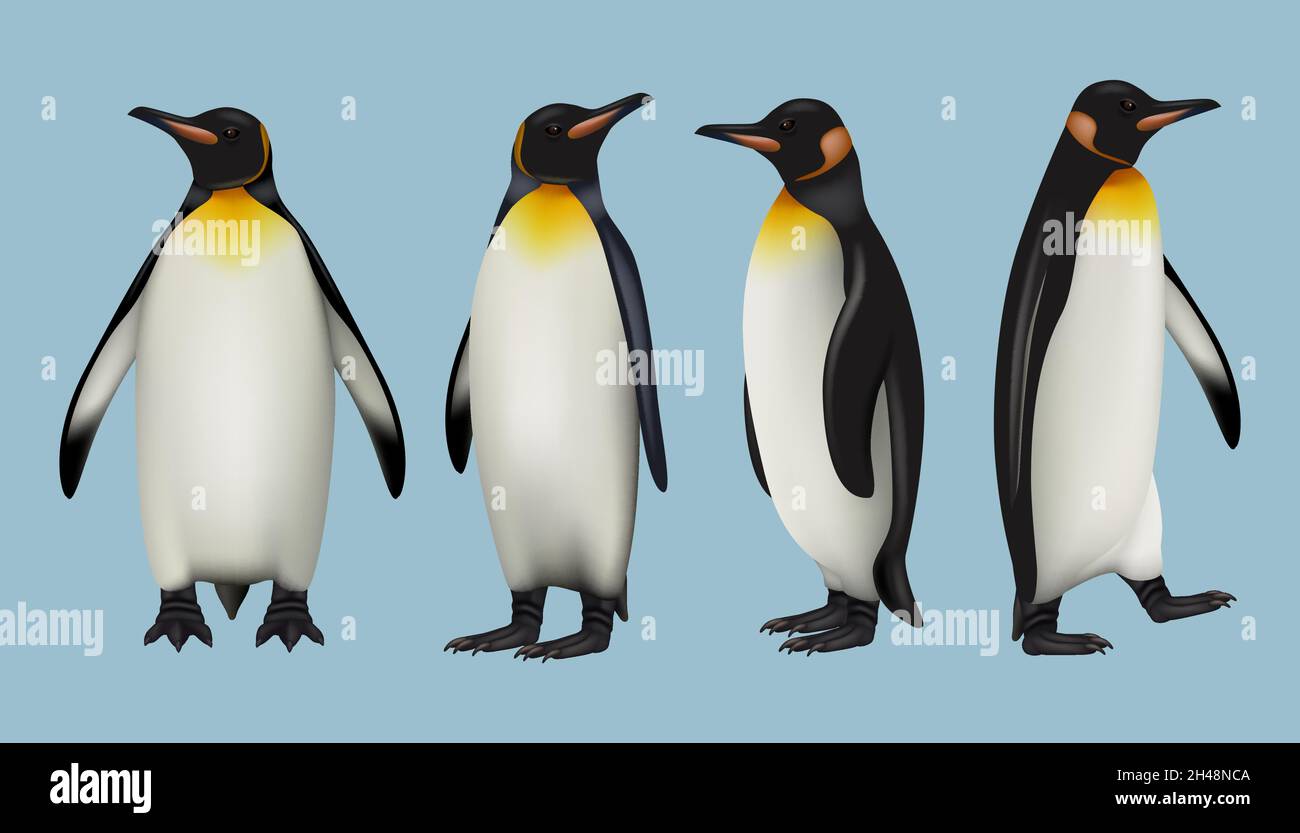 Pinguins realistisch. Arktische Fauna wilde Tiere in kalten Outdoor-Umgebung Vater Mutter und andere kaiserliche Pinguine anständigen Vektor-Illustrationen-Set Stock Vektor