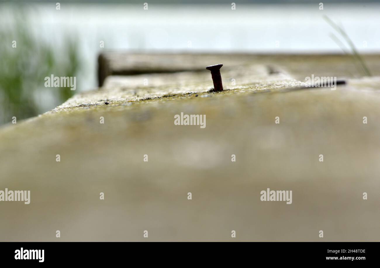 Nagel, der aus einem Brett eines Laufwegs herausragt Stockfoto