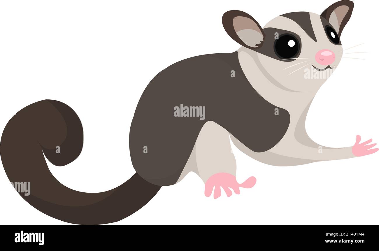 BNOSDM 6 Stück Sugar Glider Klettermatten – Selbstklebende Kratz- Und Spielmatten Für Nagetiere