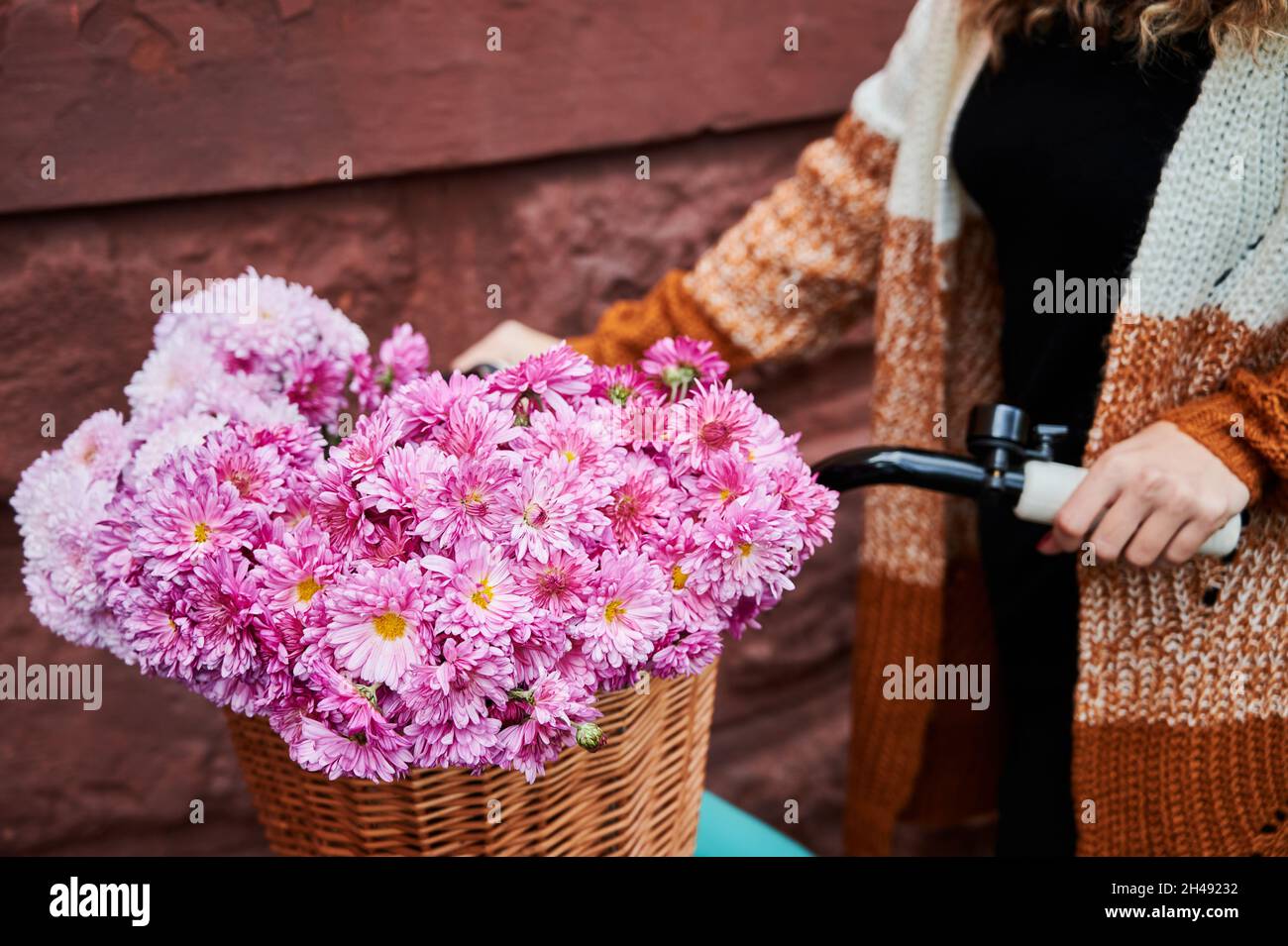 Nahaufnahme der weiblichen Hände, die am Lenker des Fahrrads an dem befestigten braunen Korbkorb aus Reben, gefüllt mit charmanten rosa Blumen halten. Stockfoto