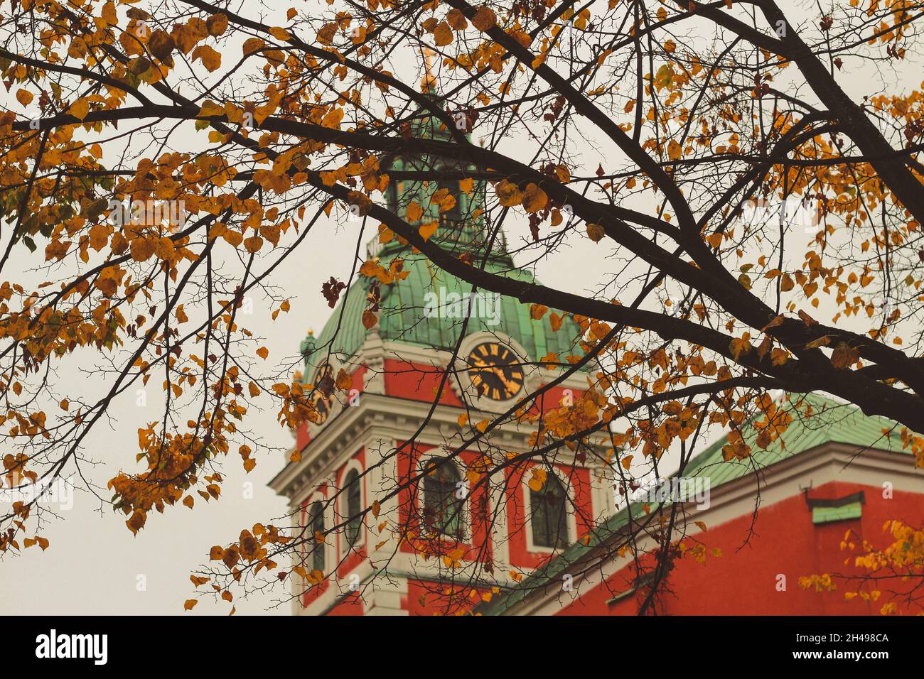 Kungsträdgården, Stockholm, Schweden Herbstwetter, gelbe Blätter, Alte Architektur Stockfoto