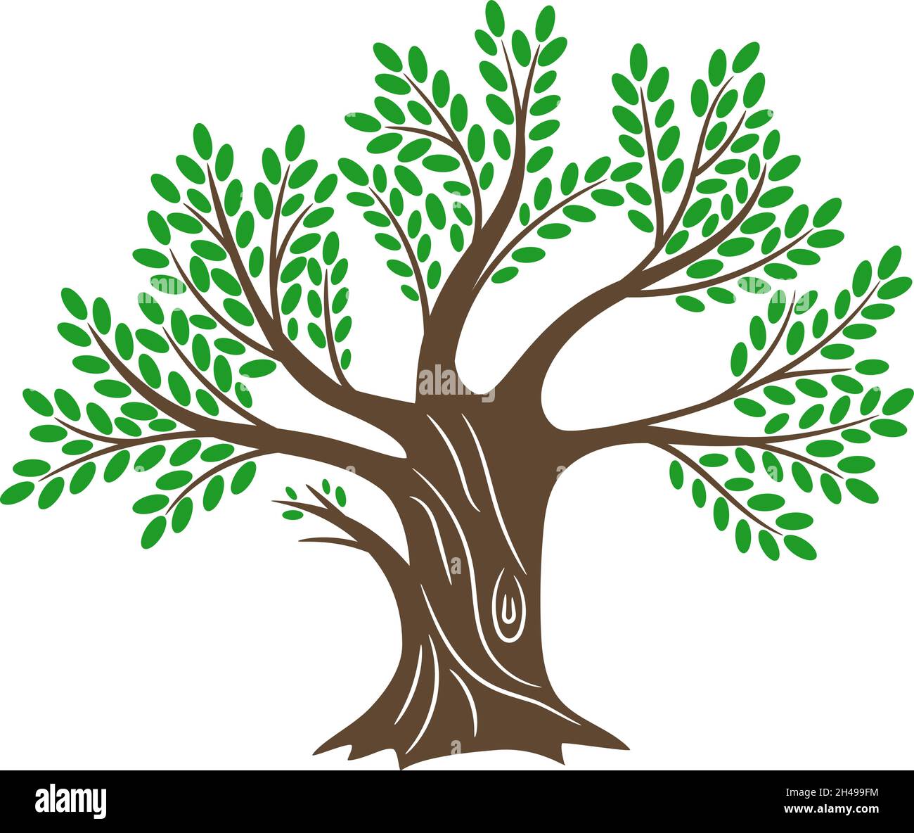 Alter Olivenbaum. Groes l oliv Holz, vintage griechenland Bume Farbe  Malerei Skizze fr mediterrane Familie Essen Logo Idee, natrliche gesunde  Mahlzeit Vektor Eiche farbige Silhouette auf wei isoliert  Stock-Vektorgrafik - Alamy