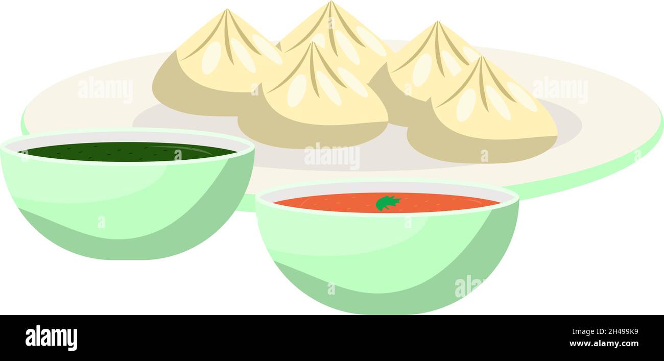 Platte mit Momos, Illustration, Vektor auf weißem Hintergrund. Stock Vektor