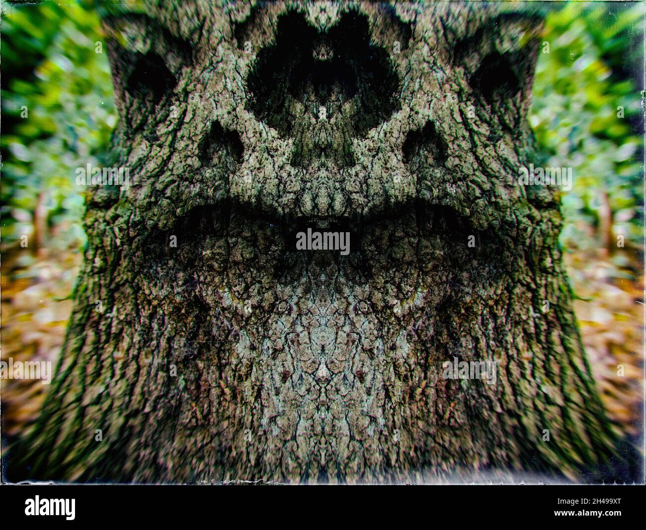 Manipuliertes Foto eines Baumes mit einem schrecklich aussehenden Spiegelbild dämonisches Monstergesicht, aufgenommen in Highgate Woods Muswell Hill am 13th. Oktober 2018 Stockfoto