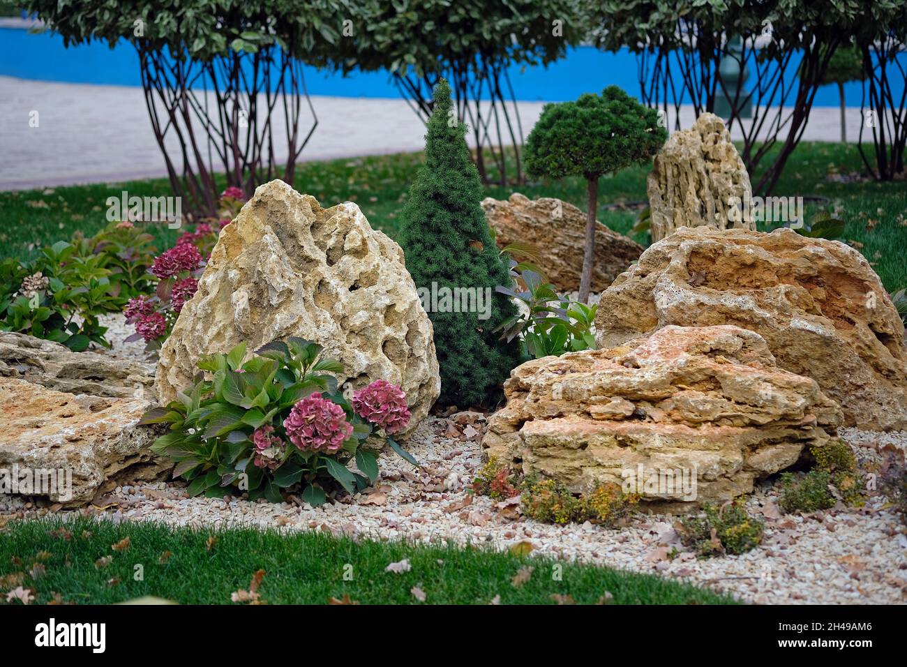 Landschaftsgestaltung im Stadtpark. Muschelsteine, Koniferen und  Hortensienbsche. Schne Pflanzen in einem dekorierten Blumenbett in der  Nhe des Hauses. Groe Steine und Stockfotografie - Alamy