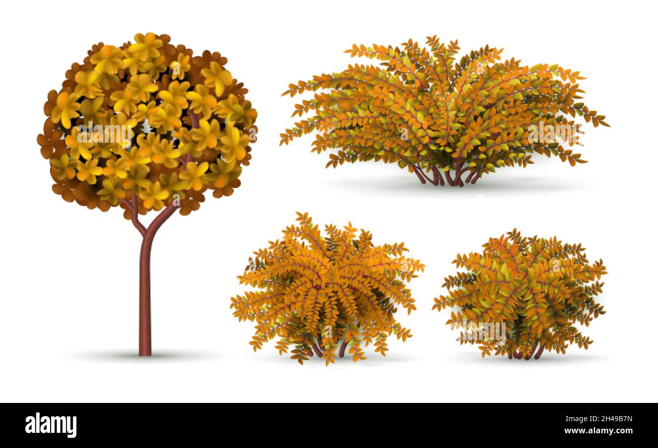 Realistischer Baum und Busch. Herbststrauch, saisonale Heckenelemente. Isolierte Gartenpflanzen und topiary für Landschaft Vektor-Design Stock Vektor