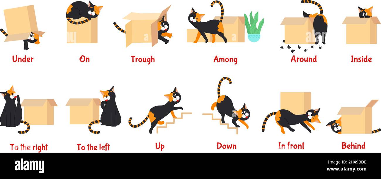 Englische Präposition. Kind Wortschatz Spiel, Präpositionen mit Comic-Katze. Lernen Sie Sprache mit niedlichen Charakter, Bildung Vorschule anständigen Vektor-Poster Stock Vektor