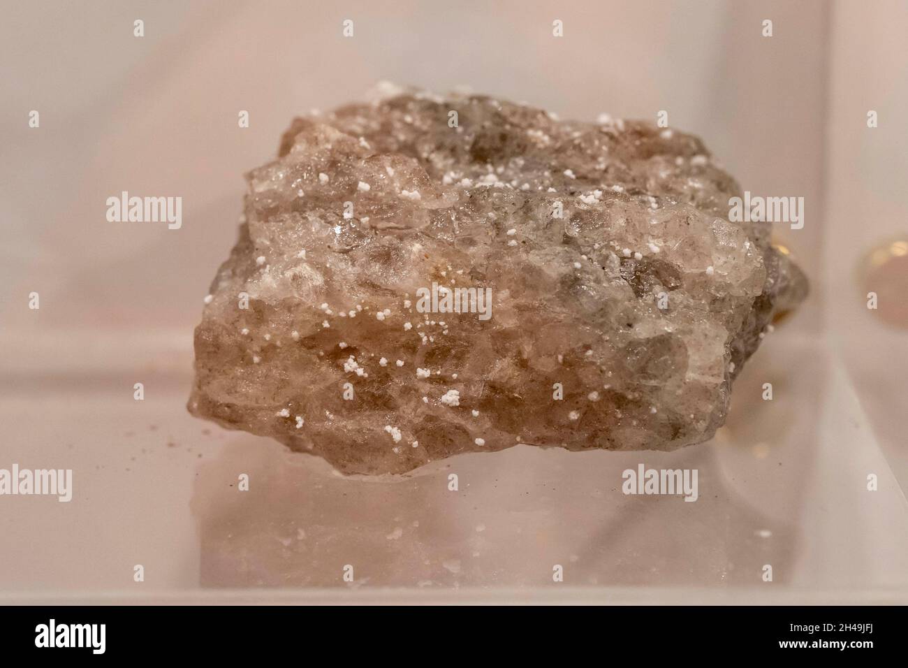 Halogen-Sammelstein auf dem Display (selektiver Fokus). Stockfoto