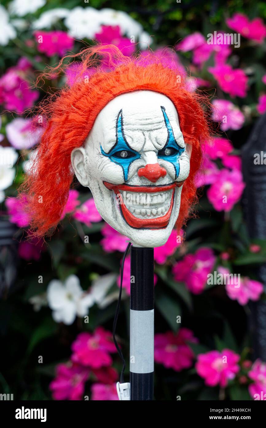 Eine Halloween Gartendekoration - eine schaurig aussehende Clownsfigur vor Blumen. In Queens, New York City. Stockfoto