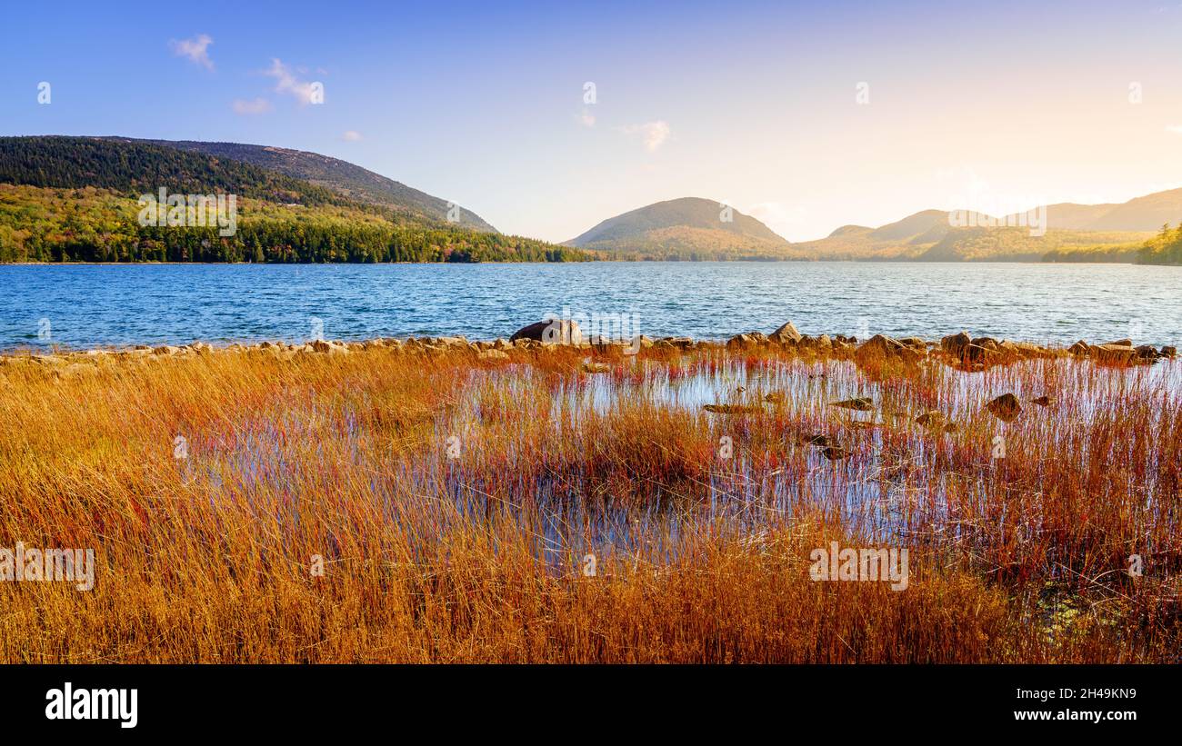 Schöner Blick auf den Eagle Lake im Acadia National Park im Herbst Stockfoto