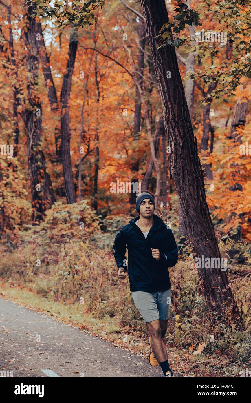 Im Herbst joggt ein gesunder junger, braunhäutiger Mischling auf dem Trail im Wald. Mit Beanie und schwarzer Jacke, die durch den Wald läuft Stockfoto
