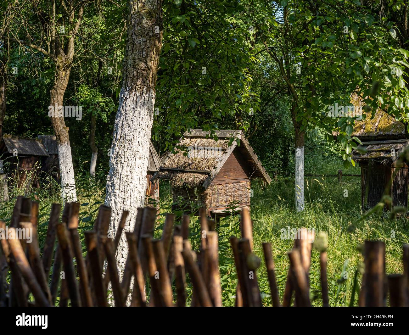 OPOLE, POLEN - 20. Juni 2021: Traditionelle Bienenstöcke und lindengewaschene Obstbäume im Garten, umgeben von alten Holzzäunen, an einem sonnigen Sommertag. Stockfoto