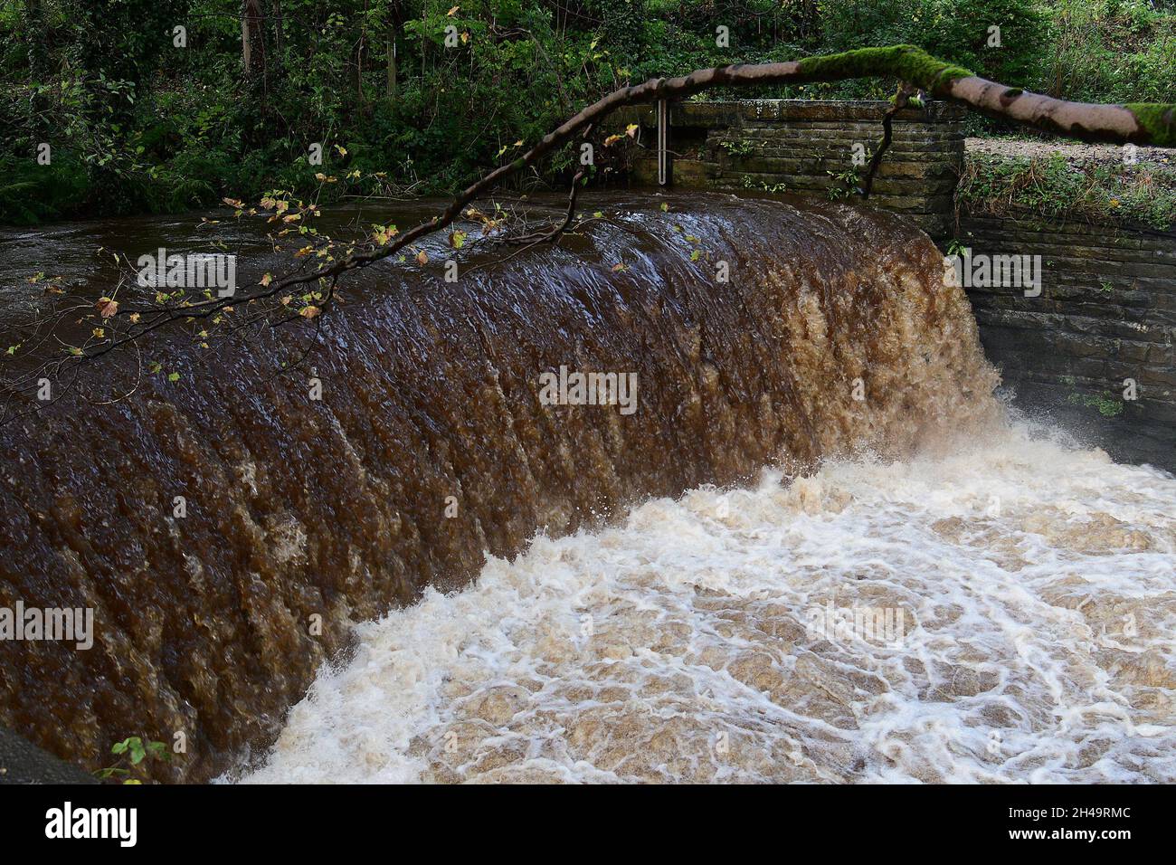 Honley, Holmfirth, Yorkshire, Großbritannien. November 2021. Ein schnell fließender Fluss nach zwei Tagen starkem Regen in Honley, Holmfirth. Quelle: RASQ Photography/Alamy Live News Stockfoto