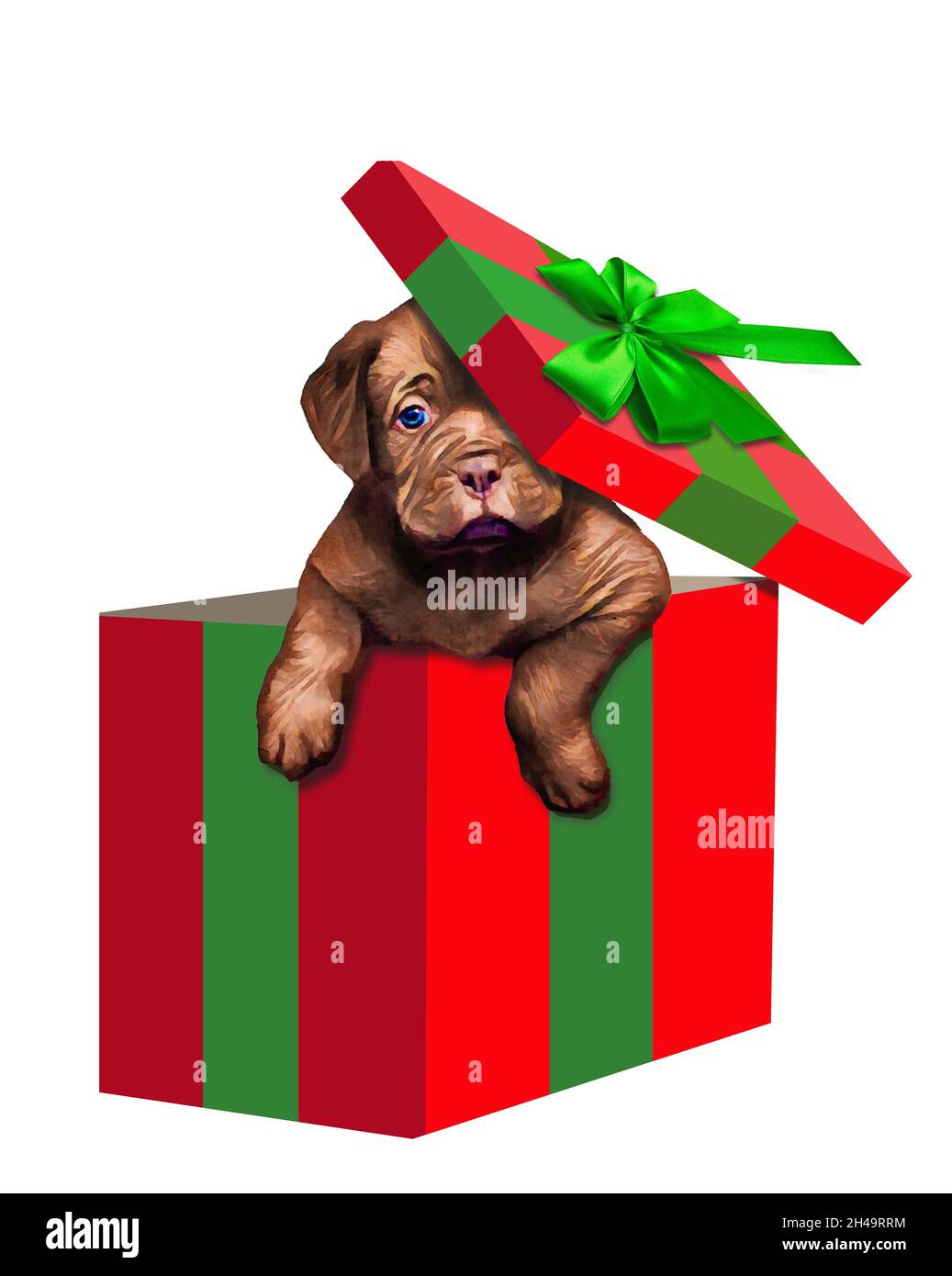 Ein Weihnachtsgeschenk-Welpe springt seinen Kopf aus der Geschenkbox in dieser 3-d-Illustration isoliert auf einem weißen Hintergrund. Stockfoto