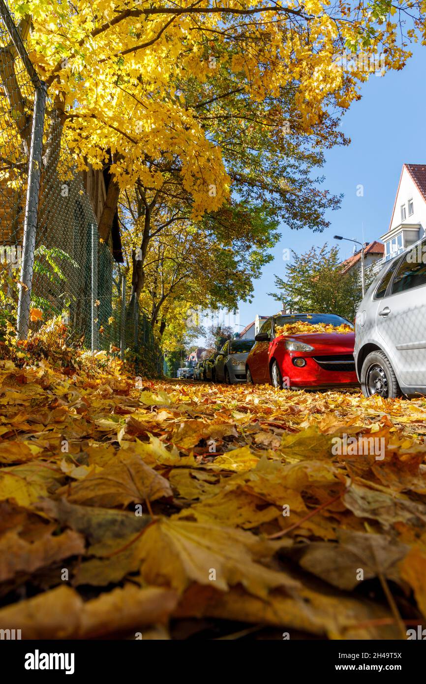 Farbenfrohe Herbstblätter auf einer Straße, einem Fußweg, einem Auto Stockfoto