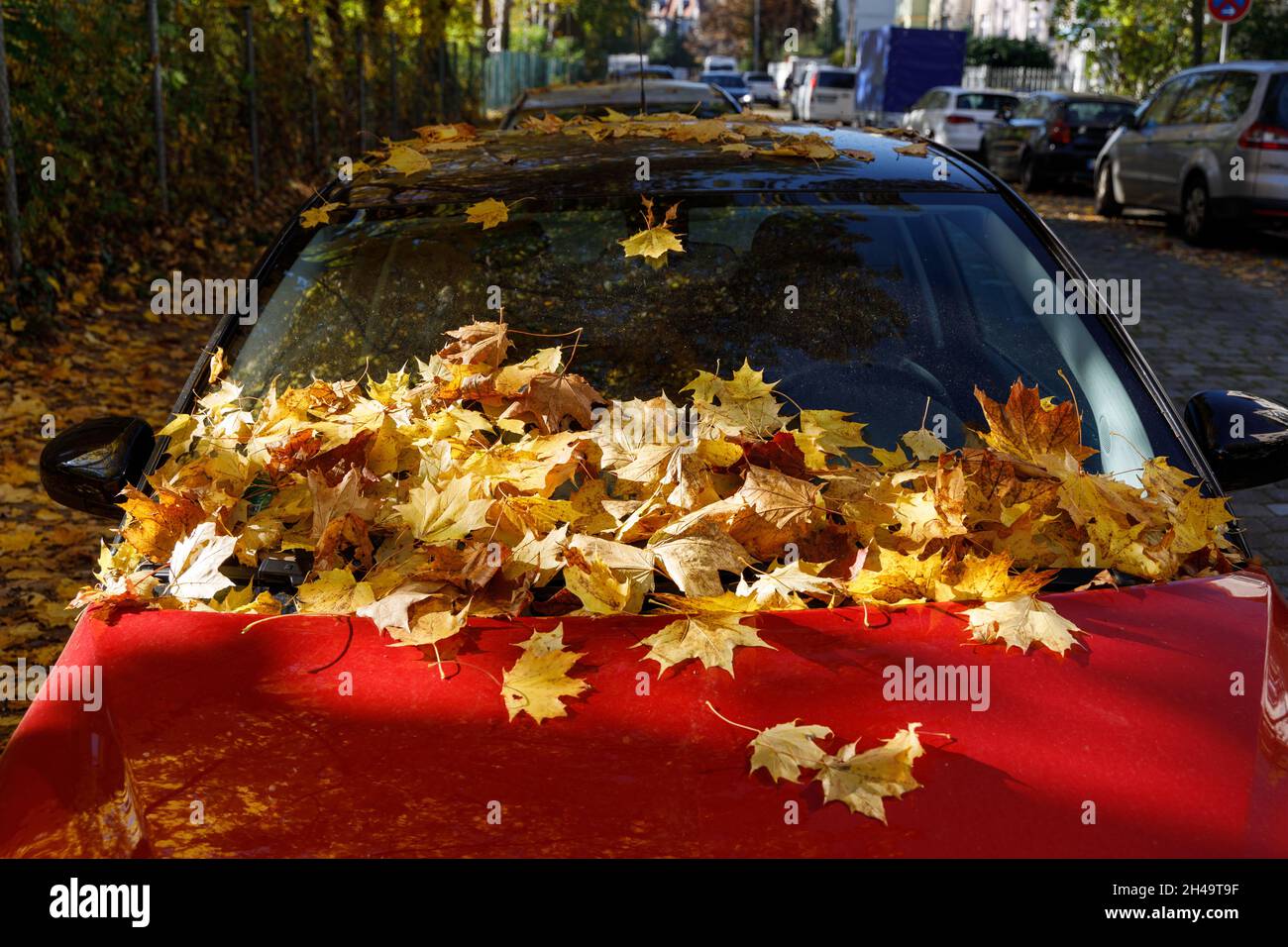Farbenfrohe Herbstblätter auf einer Straße, einem Fußweg, einem Auto Stockfoto