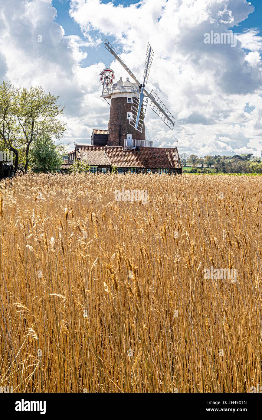Die Cley Windmühle aus dem frühen 19. Jahrhundert im Dorf Cley am Meer, Norfolk UK Stockfoto