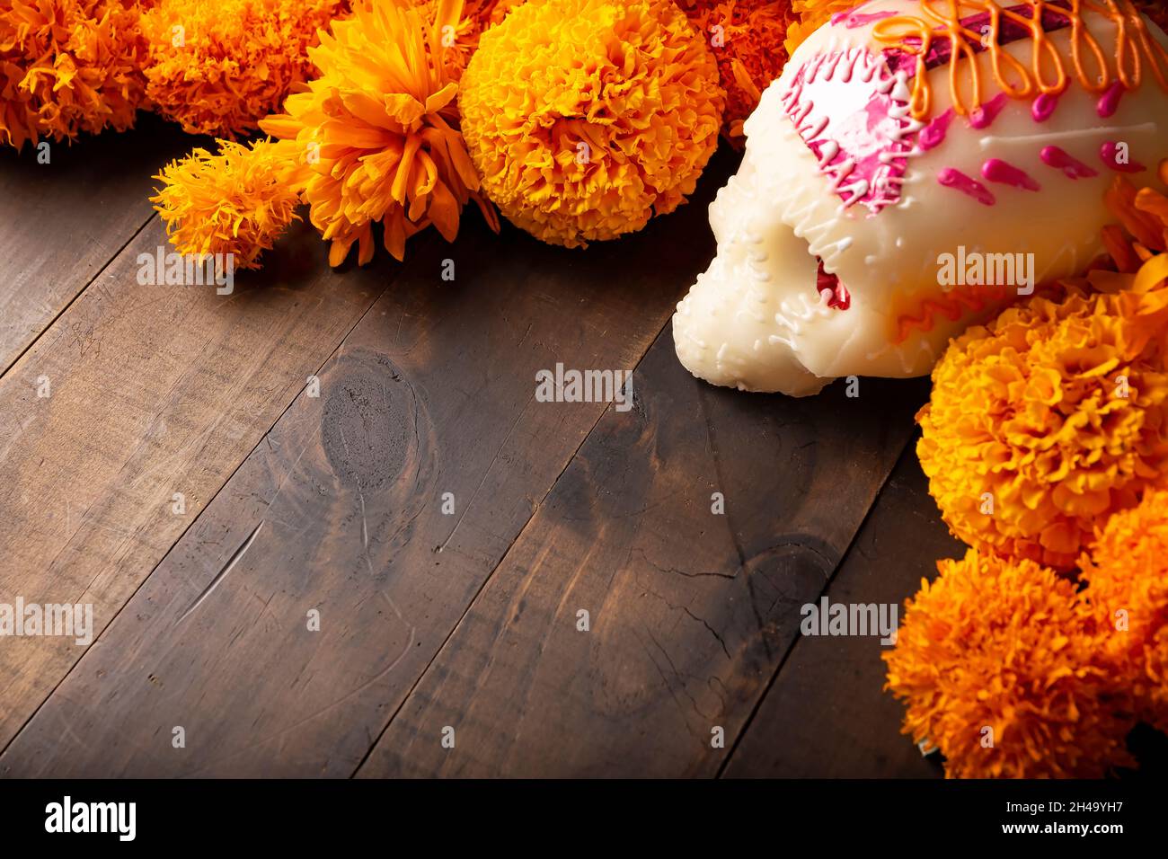 Zuckerschädel mit Cempasuchil-Blüten oder Ringelblume. Dekoration traditionell in Altären für die Feier des Tages der Toten in Mexiko verwendet Stockfoto