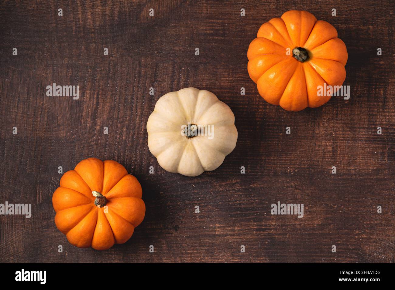 Draufsicht auf Mini-Kürbisse auf Holzhintergrund. Herbst- und halloween-Konzept Stockfoto