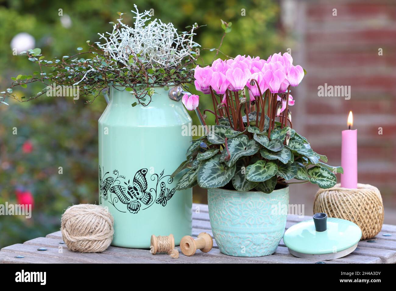 Gartendekoration mit rosa Cyclamen Blume und Kerze Stockfoto