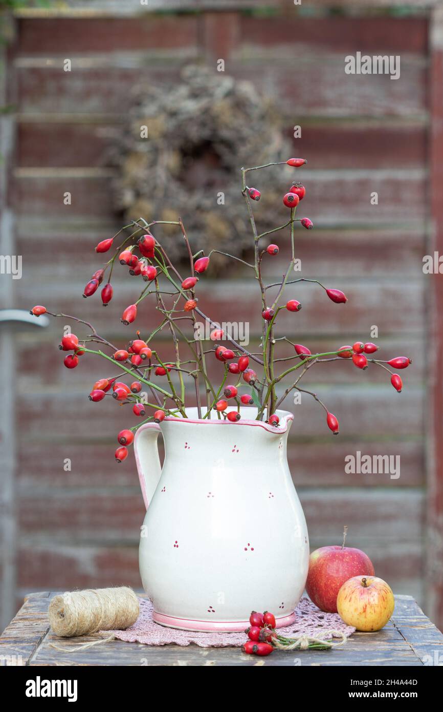 Bouquet von Hagebutten in rustikaler Vase als florale Dekoration Stockfoto