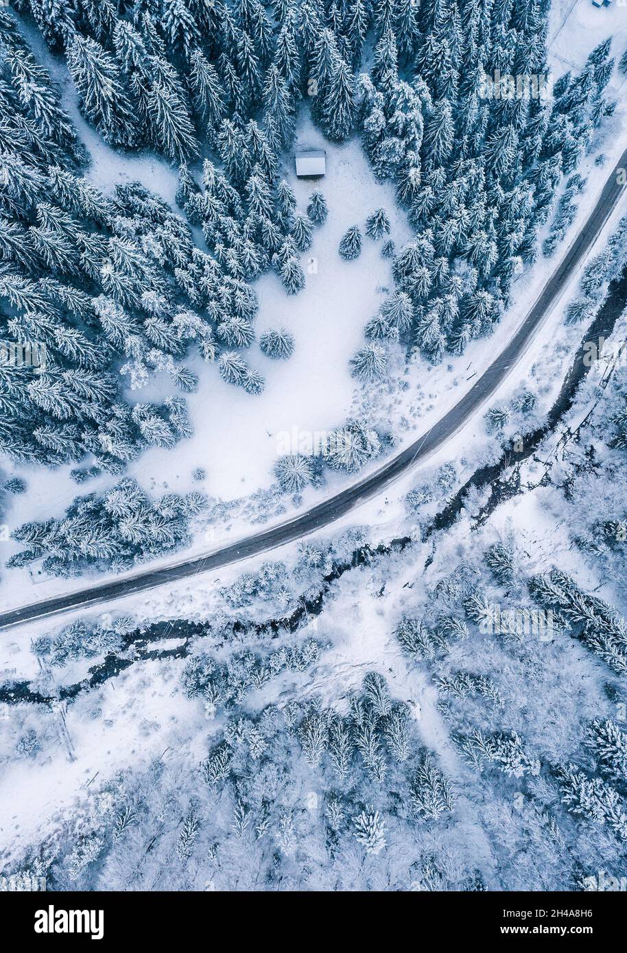Luftaufnahme Drone Aufnahme der Kiefer und Fichten Wald bedeckt mit Schnee in der Tatra in der Slowakei mit einer ländlichen Straße. Tra Stockfoto