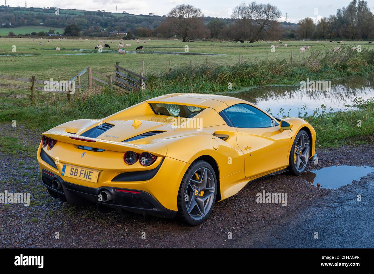 Gelber Ferrari F8 Spider Sportbekleidung, fotografiert auf den Gwent Levels, Castleton, South Wales, Großbritannien. Stockfoto