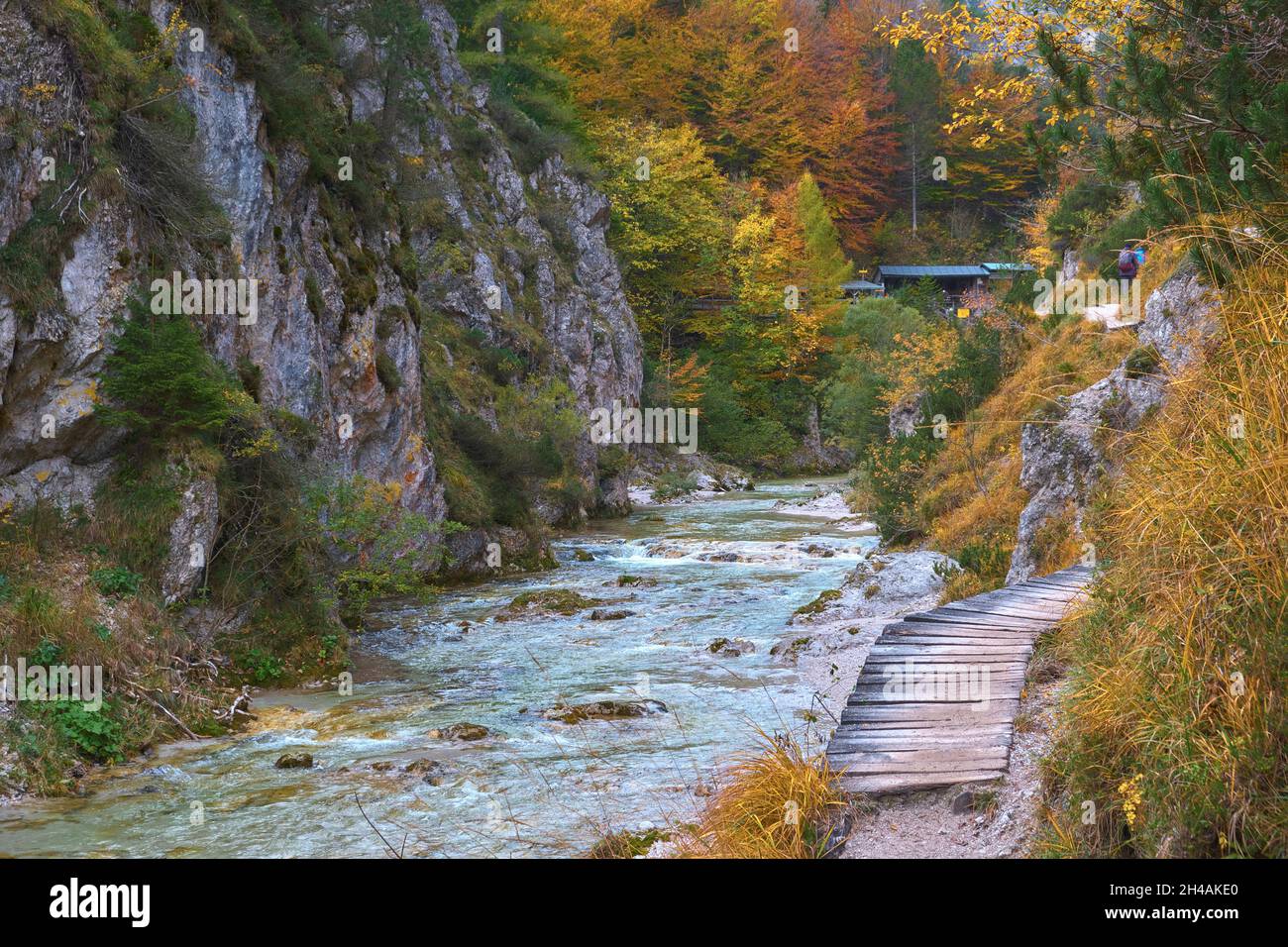 Spätherbst Blick auf eine Wanderung im Ötschergräben, Österreich Stockfoto