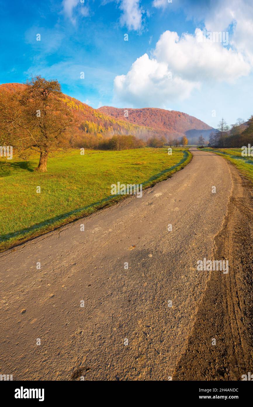Landstraße durch ländliches Tal. Schöne Berglandschaft an einem nebligen Morgen. Baum auf der grasbewachsenen Weide. Bunte Naturlandschaft mit Brig Stockfoto