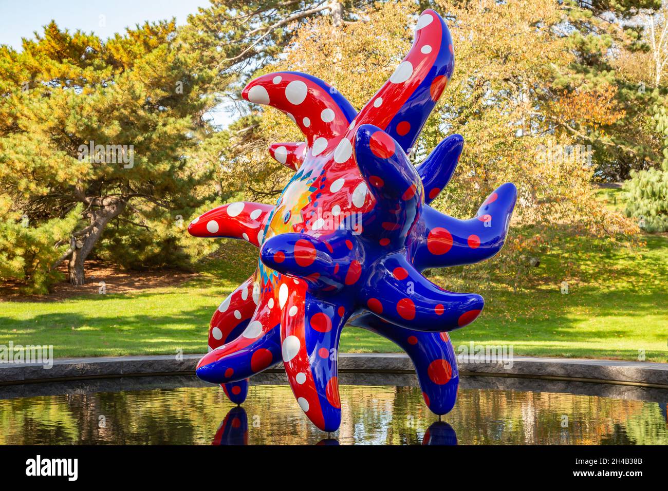 Bronx, NY - Oktober 28,2021: NY BOTANICAL GARDEN. Gezeigt wird, dass ich ins Universum fliegen möchte. Stockfoto