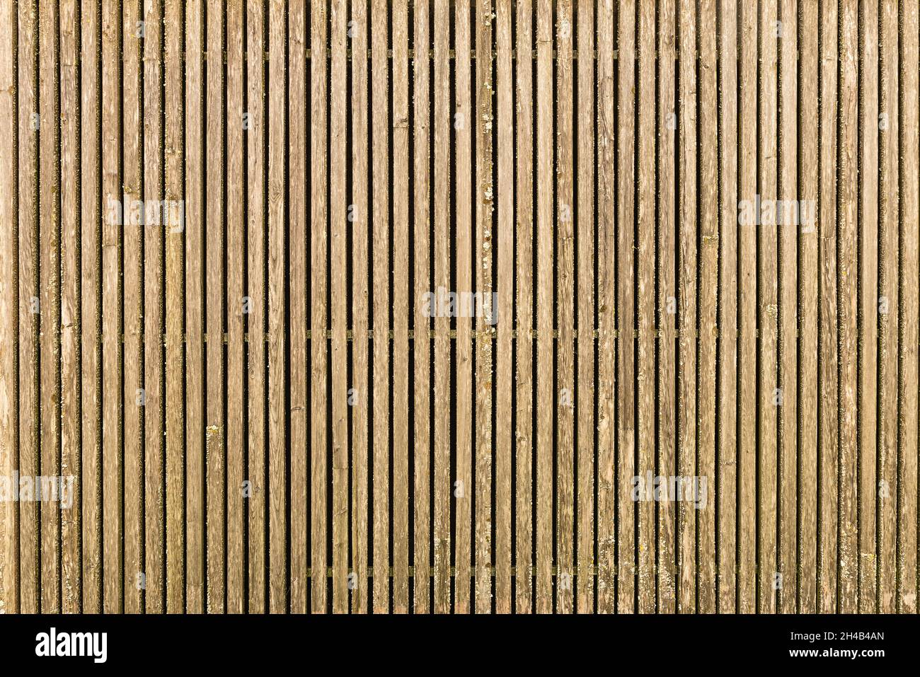 Holzhintergrund aus abstrakter Holzlattenwand mit Struktur und Moos Stockfoto
