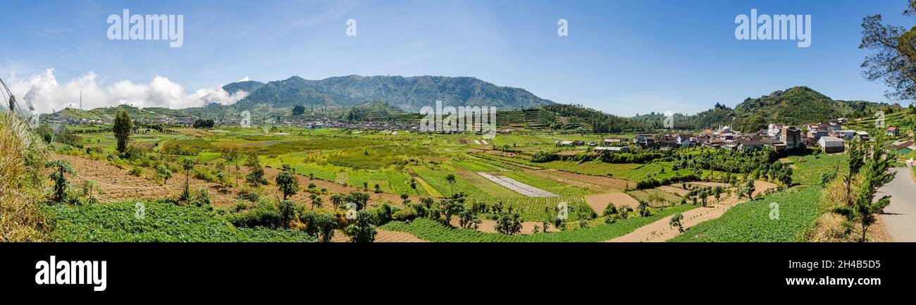 Panoramablick auf das Dieng Plateau, ein landwirtschaftliches Tal und eine Schwefelgewinnungsstätte in einem fruchtbaren Vulkankrater auf der Insel Central Java, Indonesien Stockfoto